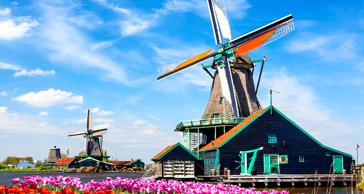 荷兰·旅游签证·上海送签·全国均可受理荷兰签证欧洲申根签证